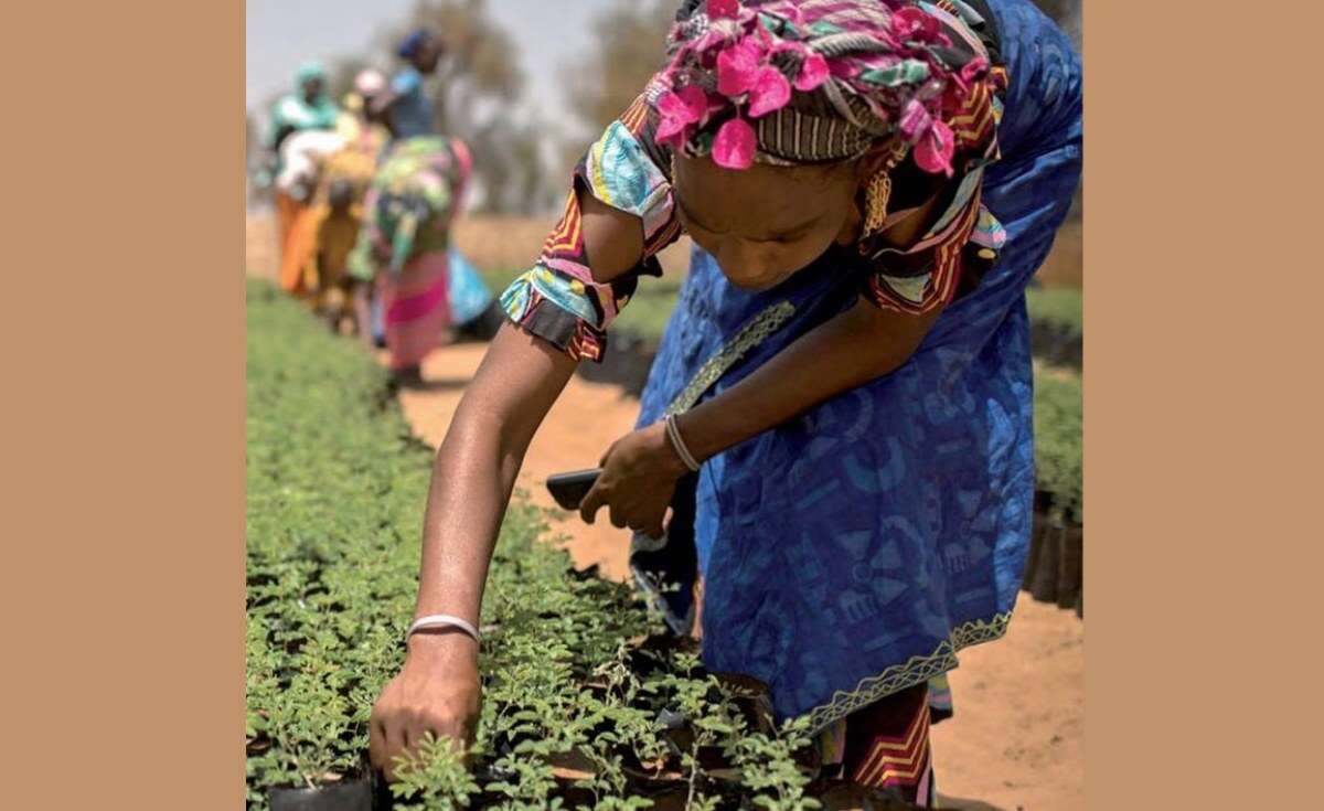 New Report Reveals Women-Led Solutions for Drought Resilience