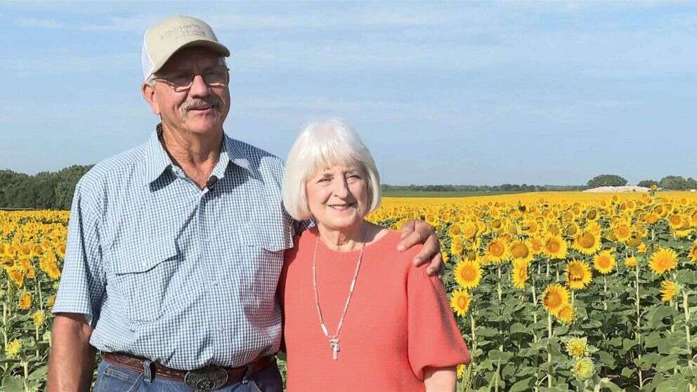 Farmer surprises wife with 80 acres of sunflowers