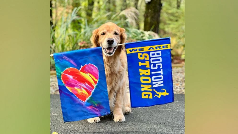 Dog who cheered Boston Marathon runners dies
