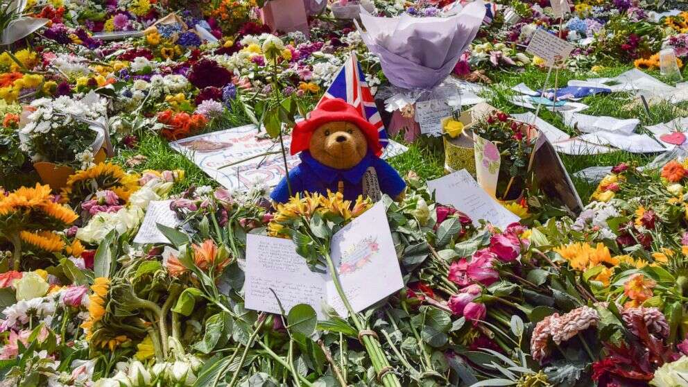 Paddington bears left in tribute to Queen Elizabeth II get royal tourThe lucky bears got to roam Buckingham Palace and Clarence House.11/18/2022 11:57:26 EST