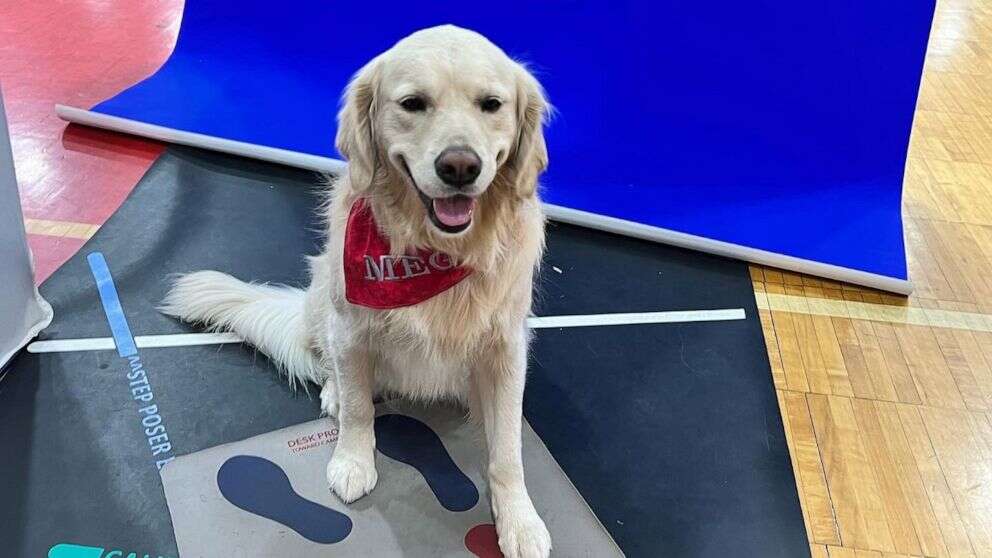 School facility dog gets her own yearbook photo