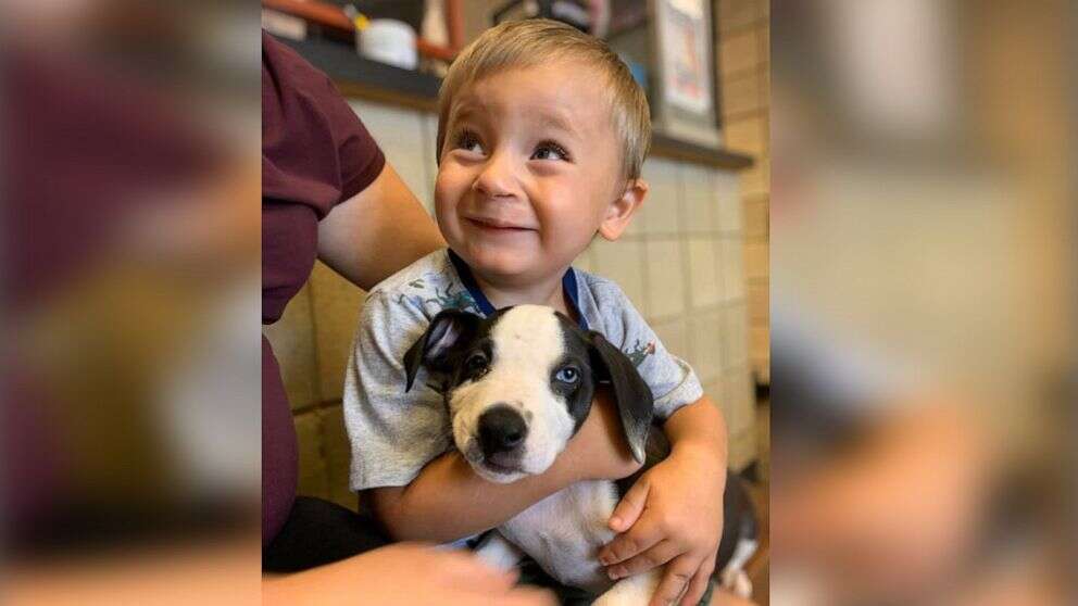 Boy with cleft lip adopts puppy with cleft lip