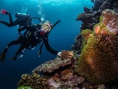 Want to help save the Great Barrier Reef? Become an ecotourist