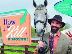 FRINGE REVIEW: How to Kill a Horse a darkly funny crime story