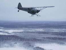 Pilot airdrops turkeys to rural homes in Alaska for U.S. Thanksgiving