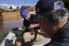 'WE HEARD THE BARKING': Makeshift shelter saves hundreds of dogs amid Brazil floods