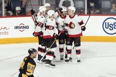 Ottawa Senators among NHL's 'least attractive' physically: Study