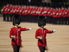 Buckingham Palace guards' distinctive bearskin caps under fire by animal rights group