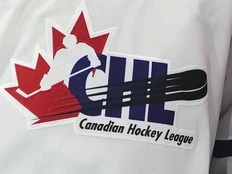 Brantford picks 7-foot, 273-pound defenceman in CHL import draft
