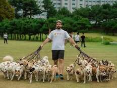 He walked 38 dogs at once: ‘My arms felt like they were on fire’