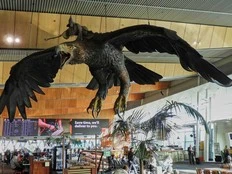 A giant sculpture of Gandalf riding an eagle departs Wellington airport for good