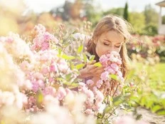 How improving your sense of smell could save your brain