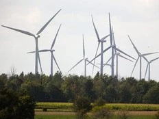GOLDSTEIN: The hazards of becoming a ‘green energy superpower’