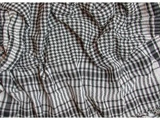 LILLEY: Rules on clothing in legislatures are in place to stop division