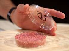 Lab-grown meat isn’t on store shelves yet, but some states have already banned it