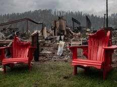 GUNTER: Facts don't back up Guilbeault's denial of Parks Canada's fire prevention mismanagement at Jasper