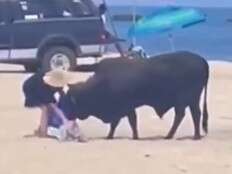 Horrifying video shows wild bull attacking woman on Mexico beach