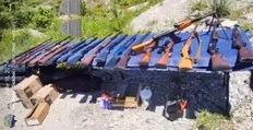 WARMINGTON: Catching wild shooters in Muskoka should be as easy as shooting fish in a barrel