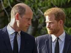 Divided brothers? Britain’s press pounces on Harry’s fleeting visit