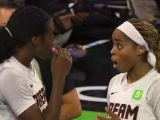 Fan throws sex toy onto court during key moment in WNBA game