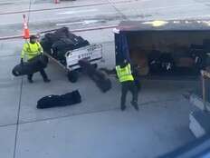 Delta Air Lines baggage handlers caught recklessly tossing college team's golf clubs