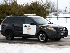 Woman, 81, dead after dog attack at northern Ontario home: OPP