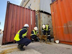 Dog rescued after more than week trapped in shipping container in Texas port