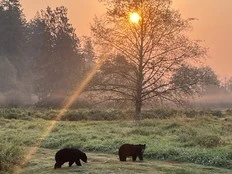 10 fun family friendly Metro Vancouver outings for adults and children