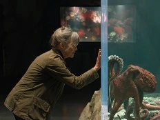 Vancouver Aquarium's octopus the inspiration for Remarkably Bright Creatures co-star