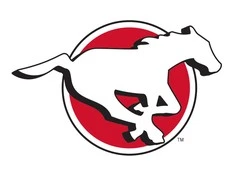 Grey Cup-champion Terry Wilson passes away at the age of 83