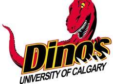 Ryan Sheahan returns to take on head coaching role with football Dinos