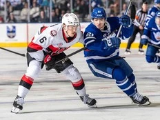 Belleville can't close out Marlies as ex-Senator Dylan Gambrell's OT goal sends series to deciding game