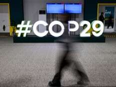 NP View: Beware the COP29 climate pickpockets