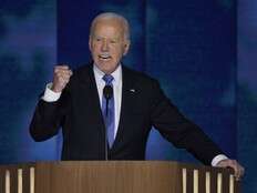 Joe Biden at DNC: Anti-Israel protesters 'have a point'