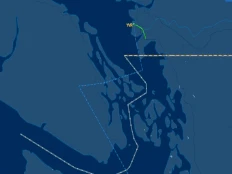 Air Canada 80-minute flight to nowhere blamed on baggage door issue