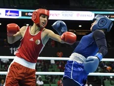 Terry Newman: Sorry, Imane Khelif. You won't be punching any more women in the face