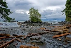 FIRST READING: Non-Indigenous visitors being turned away from B.C. public parks