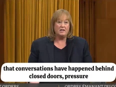 Terry Newman: Conservative MP speaks out about how the Liberals tried to poach her