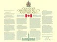 Christopher Dummitt: Systemic discrimination is legal in Canada