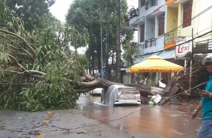 Mưa giông quật đổ hàng chục cây xanh, đè hai ôtô