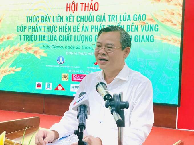 Hậu Giang tìm giải pháp nâng cao chuỗi giá trị sản xuất lúa gạo