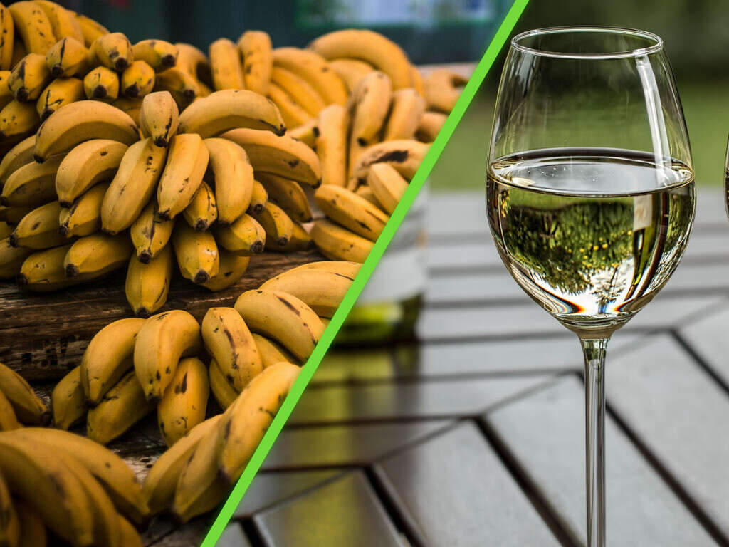 Mientras el plátano es la fruta tropical más cultivada en México, en África decidieron usarlo para algo diferente: vino  