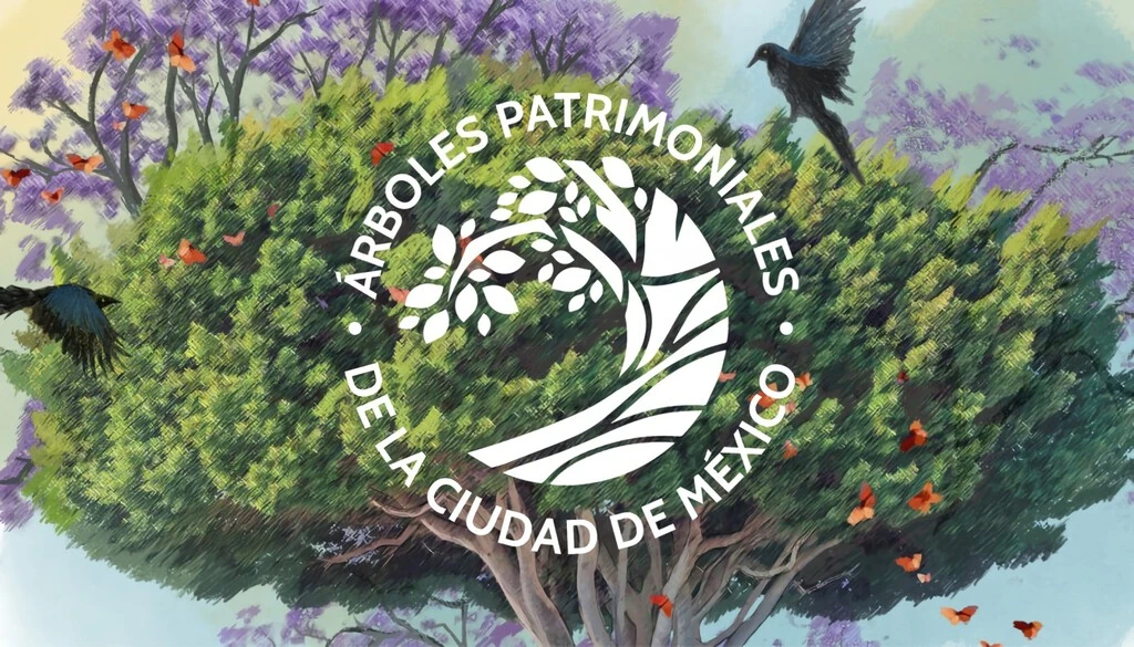 CDMX quiere proteger a sus árboles más valiosos: ahora puedes postular uno para que sea Patrimonio Natural