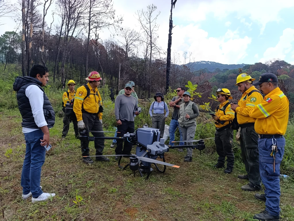 Michoacán enfrenta un problema de incendios forestales y encontró una solución: drones para sembrar 24,000 semillas desde el aire 