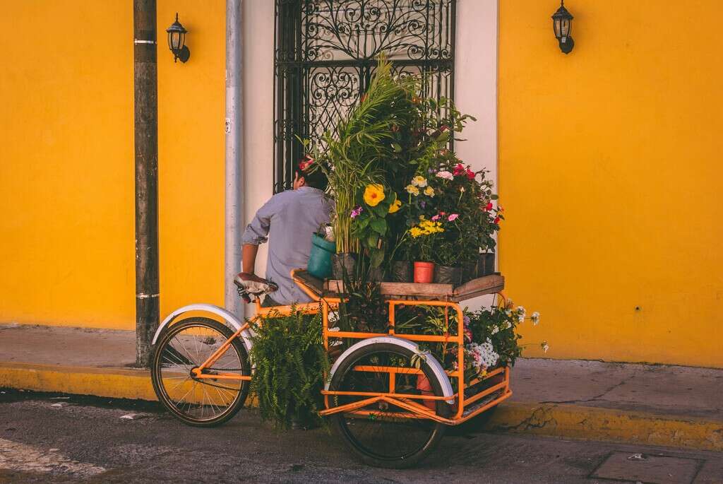 La Gen Z en China cuenta por qué los trabajos de oficina ahora son agotadores. Prefieren vender flores o cultivar fresas 