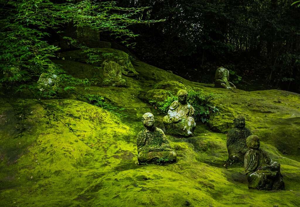 Un japonés consideró que su paso por la cárcel fue corto y decidió hacer algo: construir una celda en su jardín y no salir de allí 