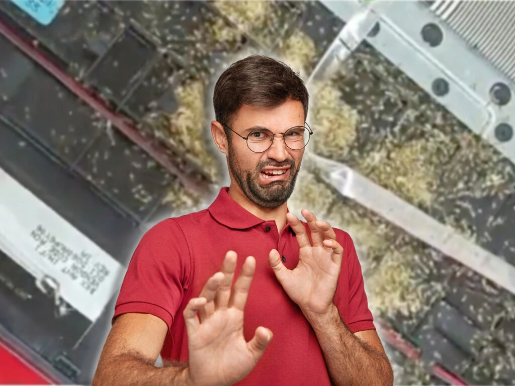 La dueña de esta laptop se preguntaba por qué habían hormigas en su pantalla, el resultado: lo más asqueroso que verás dentro de una computadora 