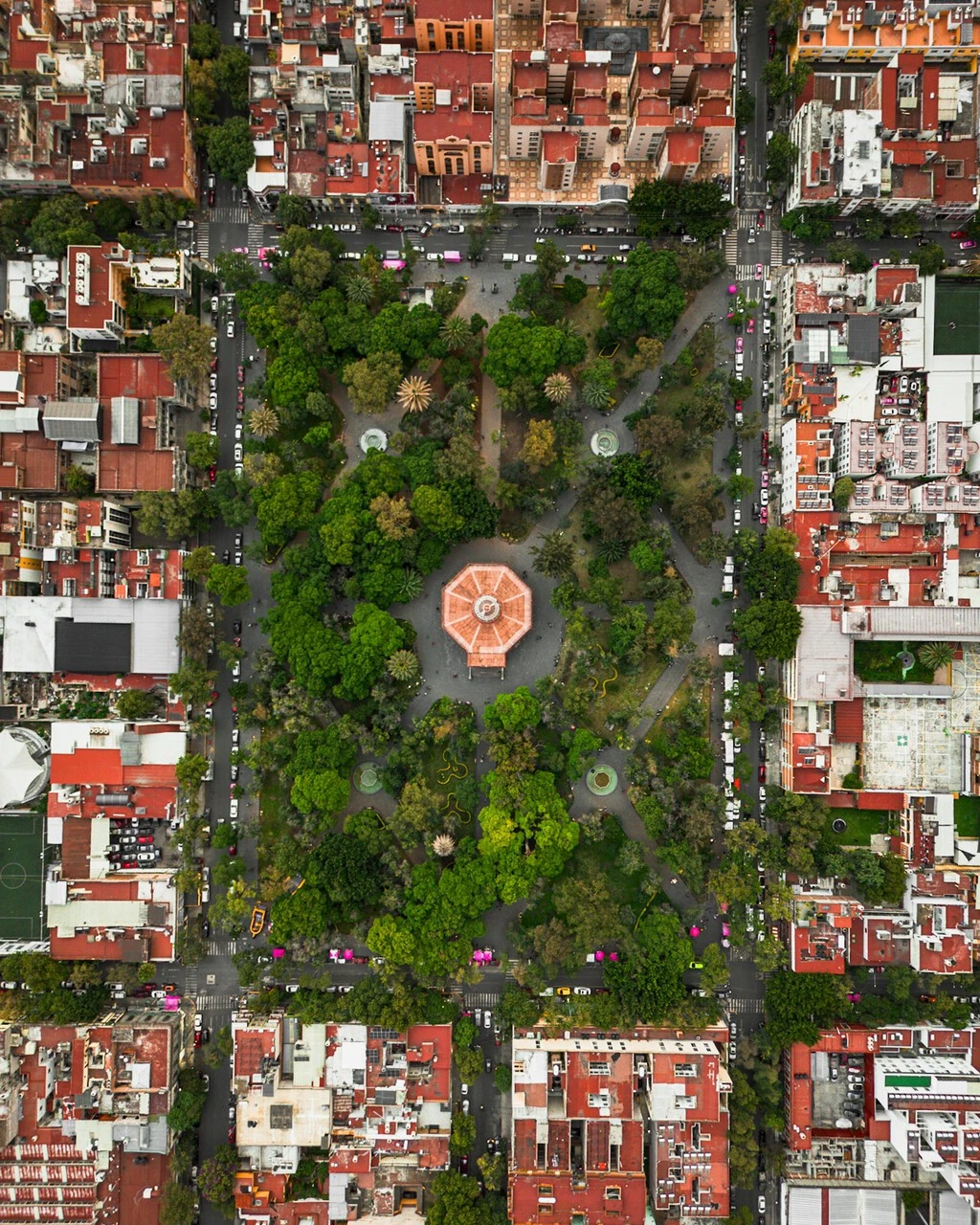 Expertos en investigación ambiental: 