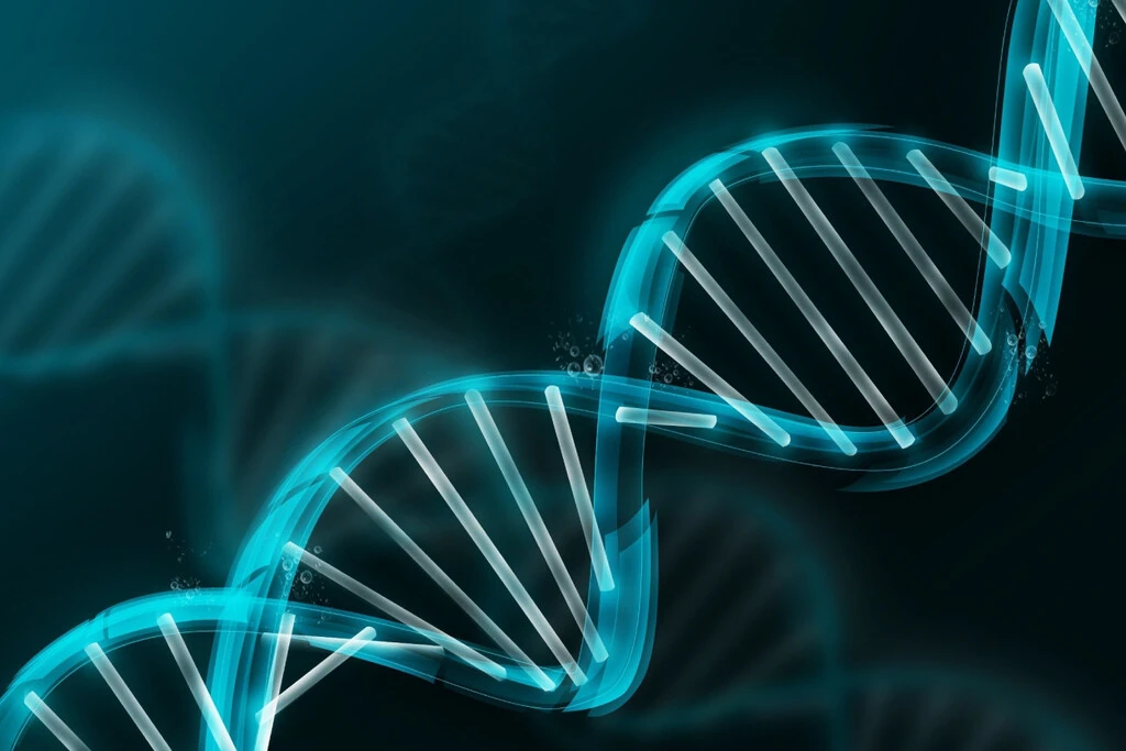 Hemos descubierto que el 20% del ADN humano moderno viene de una población homínida desconocida: la Población B 