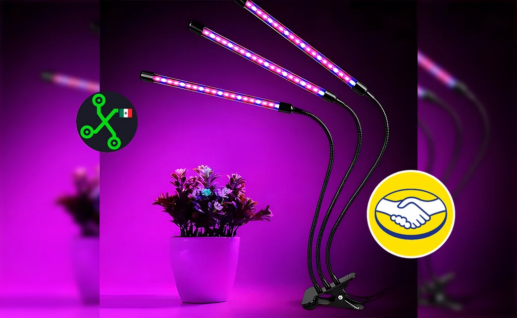 Por menos de 200 pesos podrás tener una luz especial para tus plantas si es que no le entra el sol a tu casa  